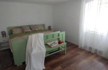 Villa Nikšić - Foto 19