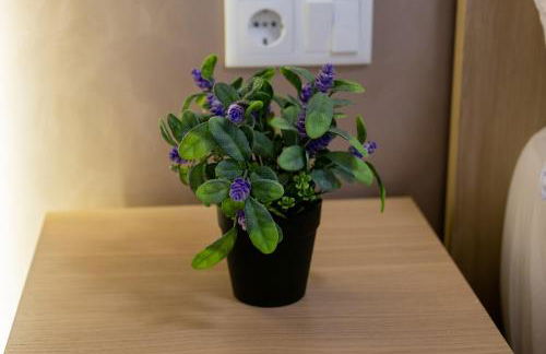 Apartamento Turistico Lux Center - Foto 13