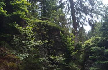 Im alten Kino - Foto 23