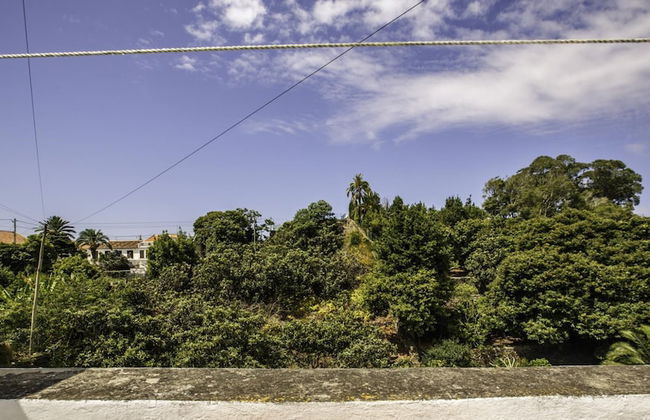 Quinta de S o Carlos - Photo 10