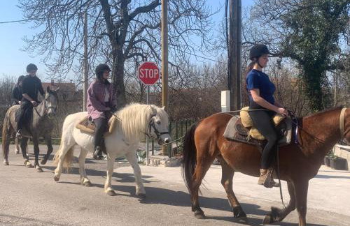 Apartment in family house Linda - Foto 19