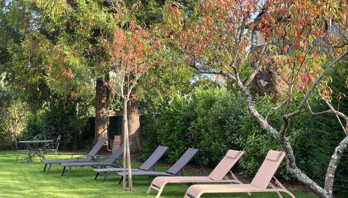 Le Hêtre Rouge - Écureuil et Geai Charme & Spa Alsace - Foto 5, Garden view