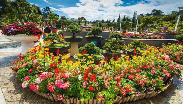 Giardini di Da Lat nel Parco dei Fiori