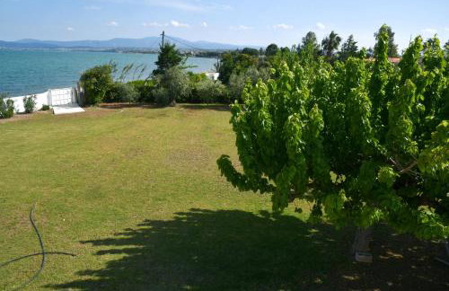 Doctor s estate Χαλκίδα - Photo 66