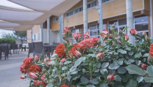 Tocchi di Puglia - Foto 4