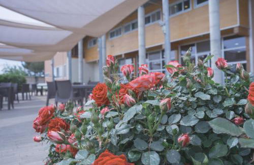 Tocchi di Puglia - Foto 4