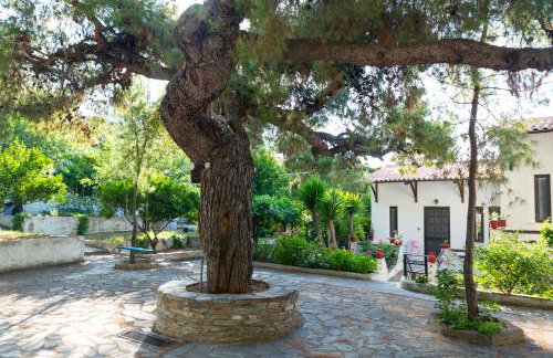 ILIOCHARI sea view apartments Oropos - Kalamos - Foto 7