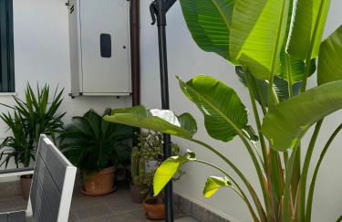 Moro House - Foto 63