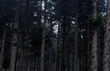 Tsigaridas Mountain Home - Foto 57