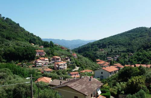 Dagli ulivi al mare - Foto 8