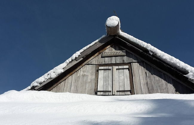 Chalet Pehta - Velika Planina - Foto 35