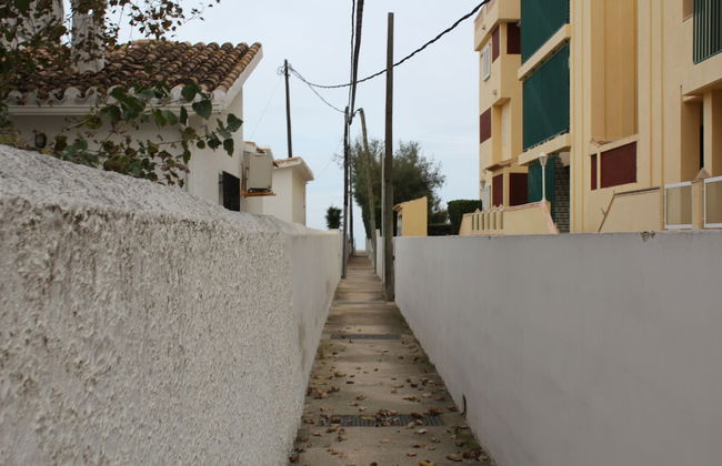 Trompeta Azul - Photo 71