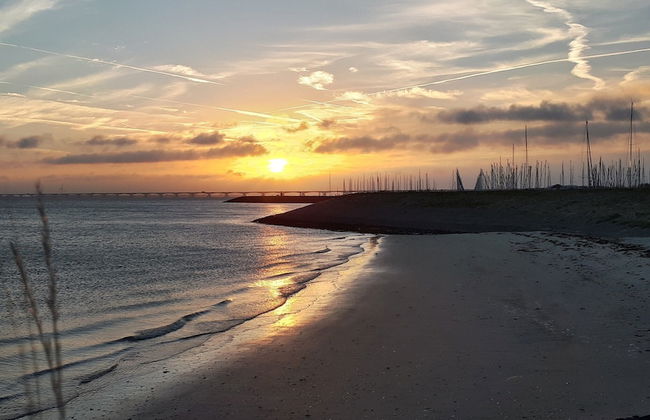 Holiday Home in Zeeland With Sauna - Photo 28