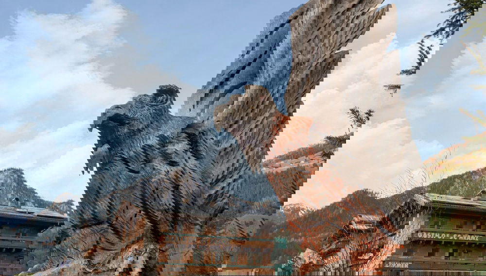 Apartment in Wald Near Zillertal Ski Area - Foto 1