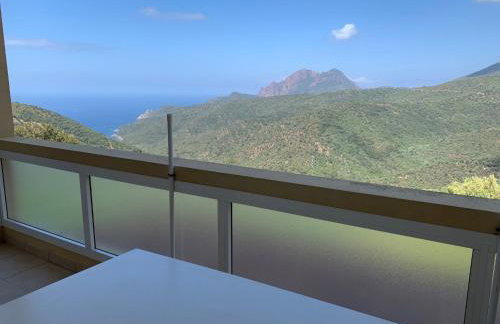 Les Asphodèles - Foto 9