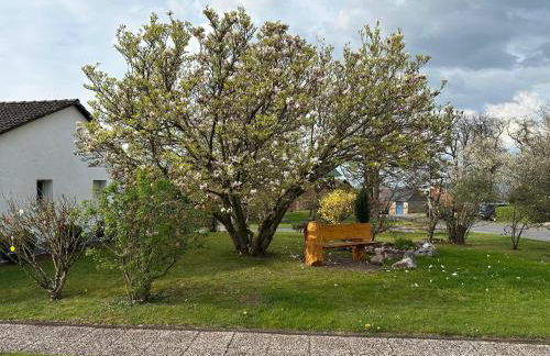 Ferienhaus – Bergblick am Köterberg - Foto 8