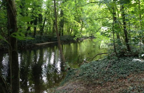 Ferienwohnung am Einsteinhaus Caputh - Foto 19