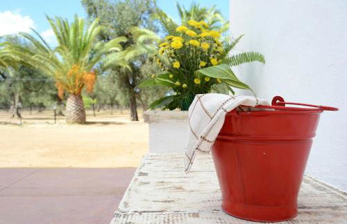 Tenuta Afra - Foto 34