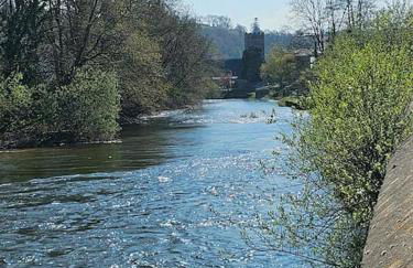 Riverside Retreat - Photo 60