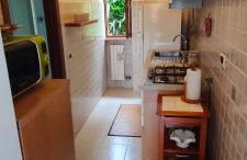 GreenHouse_Anzio - Photo 16