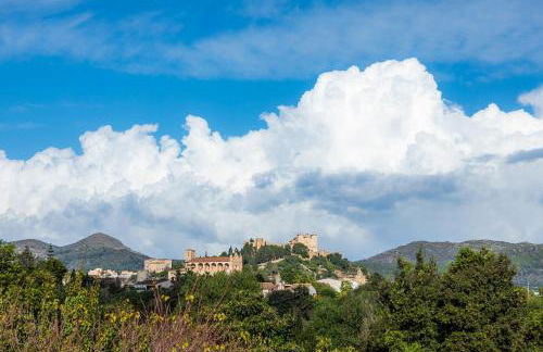 Finca Na Palada - Foto 30