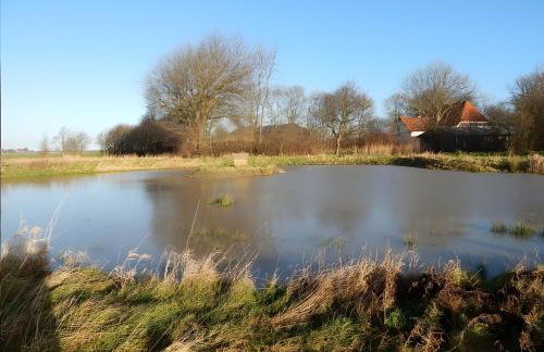Ferienhof Schülp - Foto 3