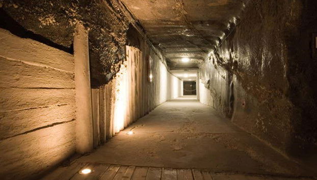 Krakow Combo: Auschwitz and Salt Mine Tour - Foto 5