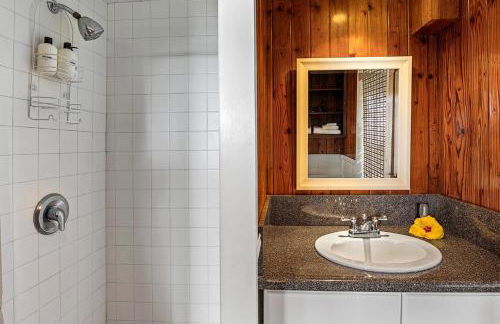 Orchid Hale - Foto 47