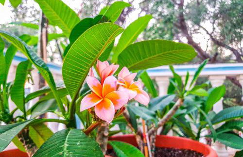 Angelos Studios - Photo 55