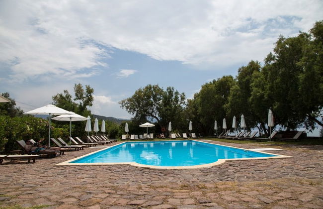 Olive Press Hotel & Apartments - Foto 35