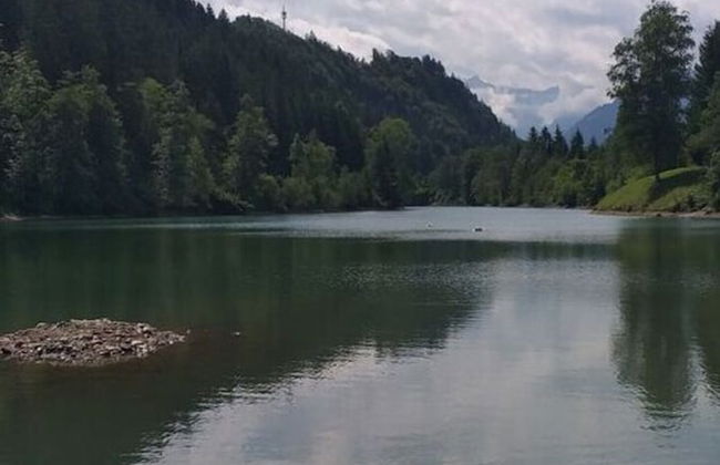 Reindler Modern Retreat - Photo 22