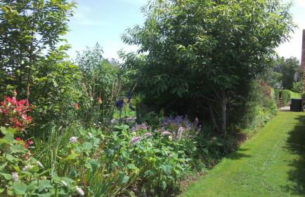 Les Tachats - Foto 16