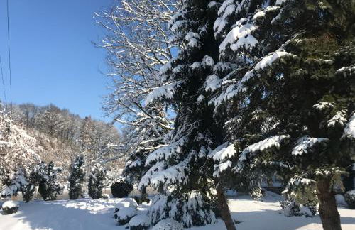 Apartment direkt an der Waldnaab - Foto 31