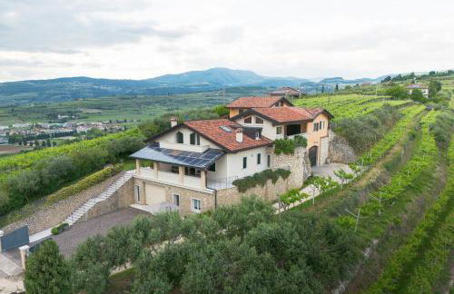 Zardo Winery - Foto 1