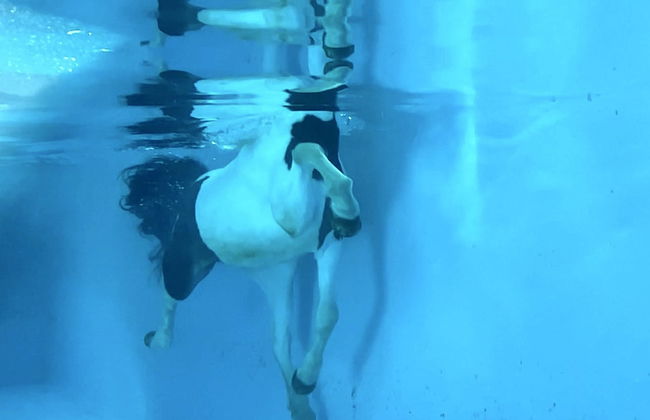 Askot Cottages - Foto 30