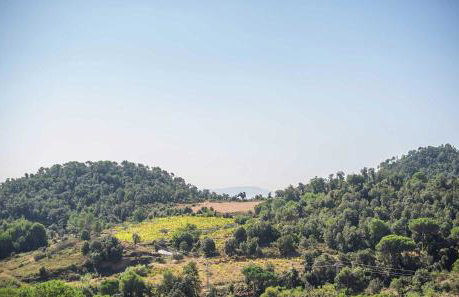 Sono & SPA - Adults Only - Foto 35