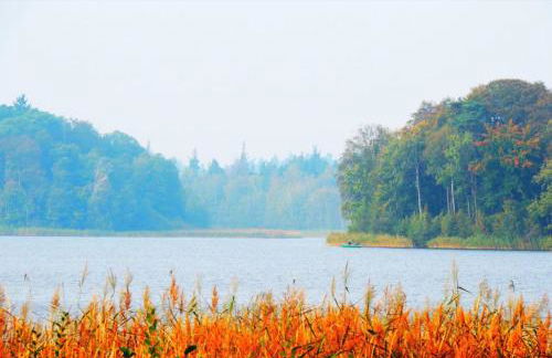 Haus Hanni Zarrentin am Schaalsee - Foto 35