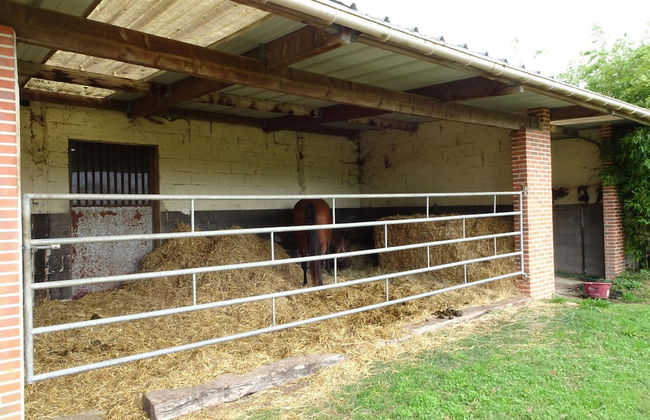 France Terraced House Near White Sand - Foto 15
