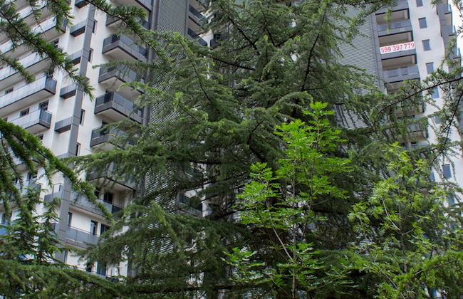 Luxury Apartments - Foto 1