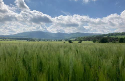 Ferienwohnungen bei der Purpurbuche - Foto 31