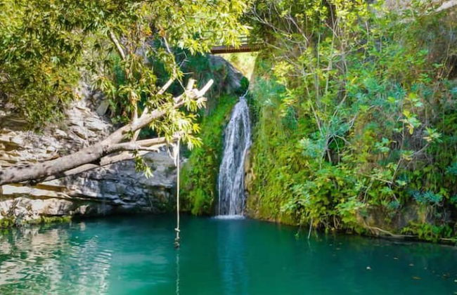 Lazaros Stonehouse - Foto 39