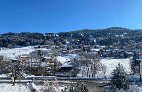 Appartement 71m2 près de Megève, à 200m télécabine la Princesse, local à ski, 2 chambres, parking couvert - Foto 38