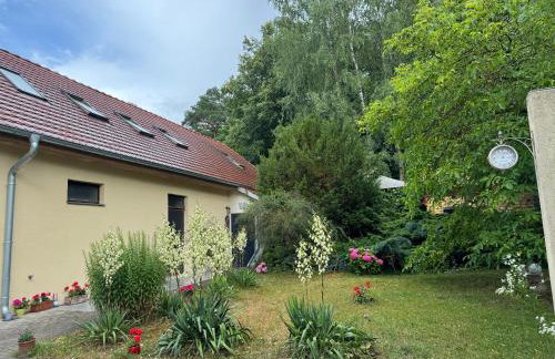 Agroturystyka Staroscin - Foto 2