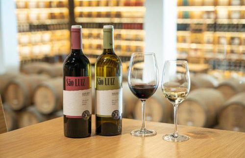 Quinta São Luiz The Vine House Douro - Foto 69