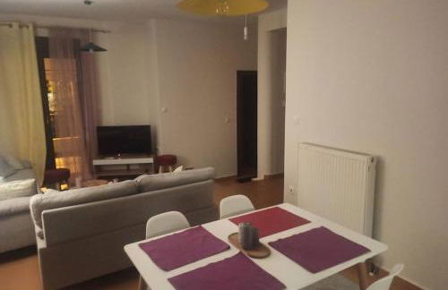 Διαμέρισμα παραποτάμια Νάουσα - Foto 17