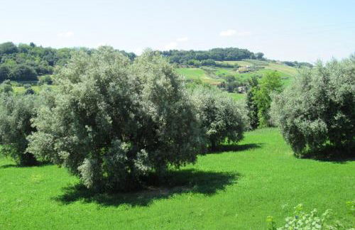 mansio maritima - Foto 59