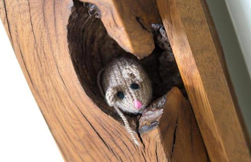 2 Bed in Yanwath SZ085 - Foto 8