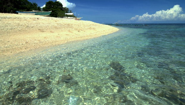 Tour à l'île de Balicasag - Photo 2