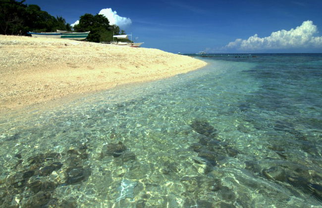 Tour à l'île de Balicasag - Photo 2