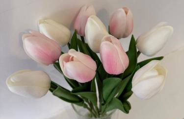 Rochester House - Foto 24